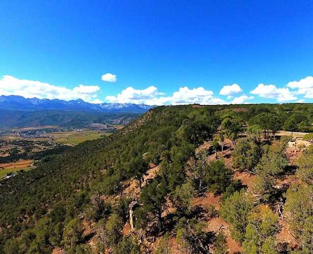 Lot 43 Pine Dr #43 Ridgway, COLORADO 81432