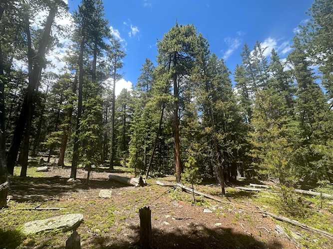 TBD Evenden Out of area, COLORADO