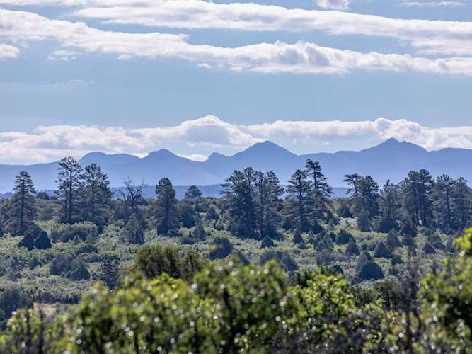 TBD CR 44Z S Lone Cone Rd #9 Norwood, COLORADO 81423