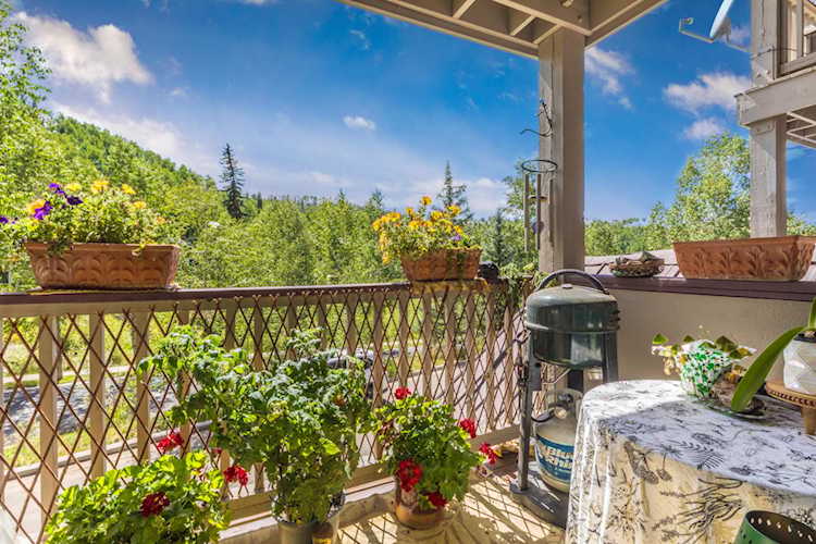 327 Adams Ranch Rd #705 Mountain Village, COLORADO 81435