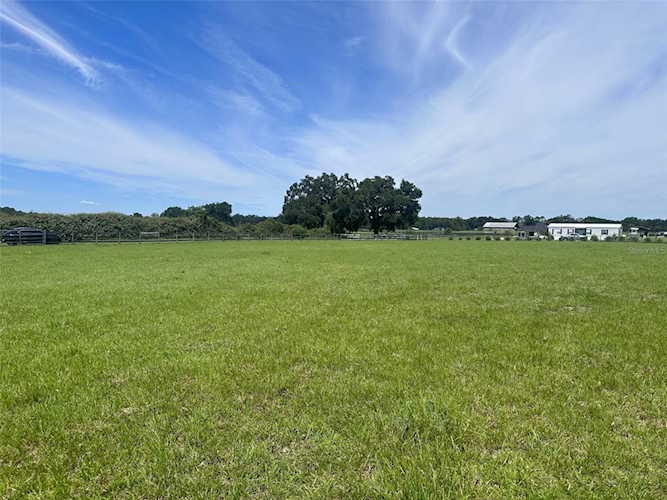 TBD SE 160th St Summerfield, FL 34491