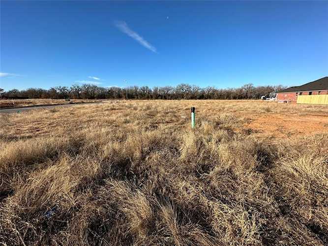 1107 Wild Rose Drive Tolar, TX 76476