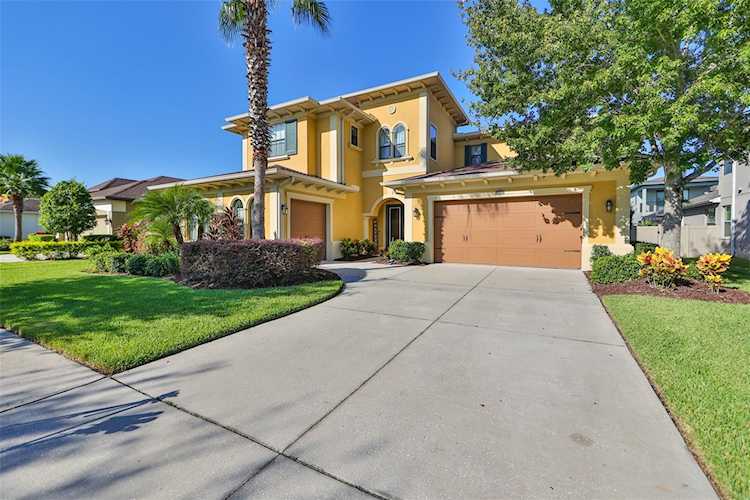 32069 Pinfeld Dr Wesley Chapel, FL 33543