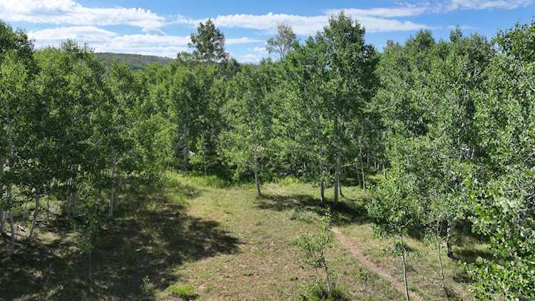Lot 33 Elk Dr/ Divide Rd. Montrose, COLORADO 81403