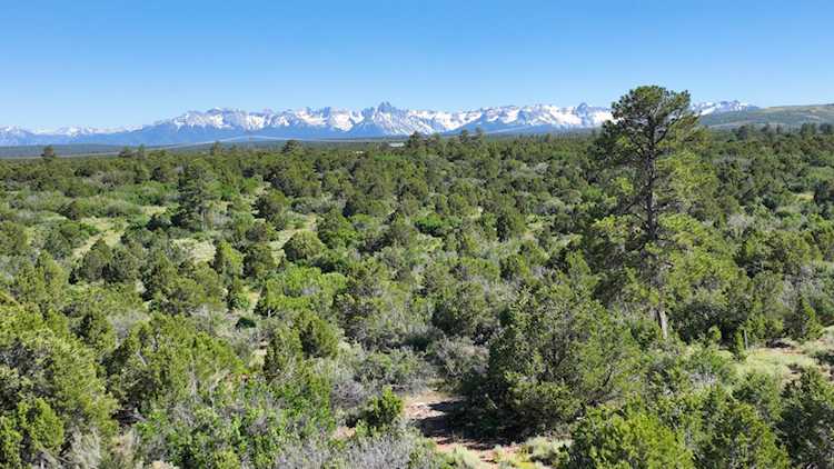 456 Wildcat Canyon Rd Montrose, COLORADO 81403