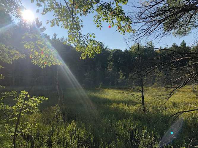 4 Ac. Cth F Minocqua, WI 54548