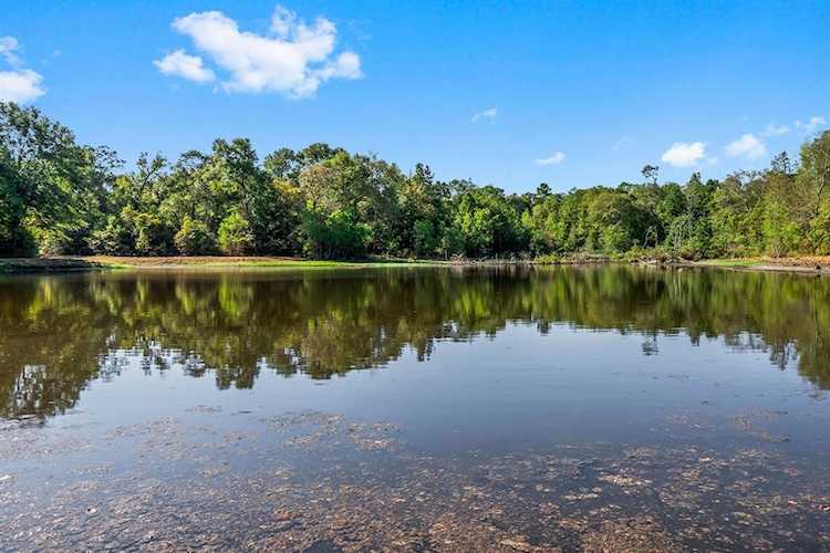 For sale 15863 Rogers Rd Willis, TX lot for sale