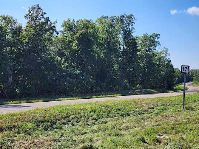 0 S Hwy 17 Laquey, MO 65534 | MLS 23050532 Photo 1