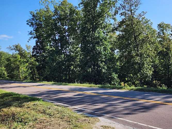 0 Highway 17 South Tract 2 S Laquey, MO 65534 | MLS 23050534 Photo 1