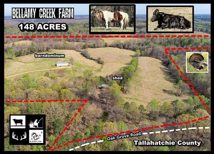 753 Oak Grove Road - Tallahatchie County Charleston, MS 38921