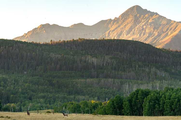 TBD Posey Road #C Placerville, COLORADO 81430
