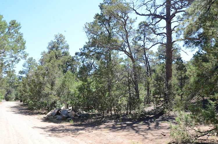 97 Big Dipper Rd Tijeras, NM 87059