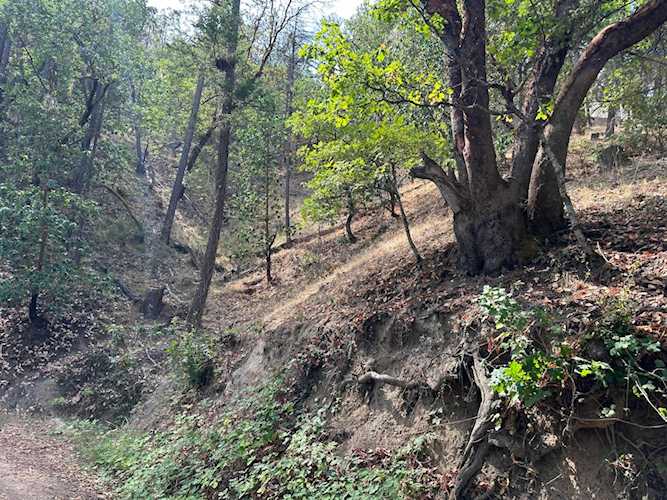 526 Waterline Rd Ashland, OR 97520