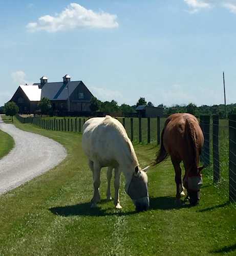 1295 Locust Grove Rd Shelbyville, KY 40065