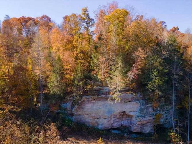 Lot #5 Gold Mine Rd Rogers, KY 41365