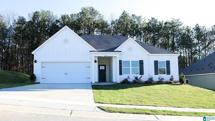 709 Fish Camp Road Chelsea, AL 35043