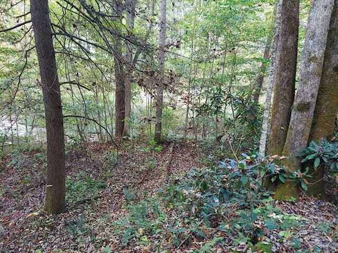 Lot #26 Gold Mine Rd Rogers, KY 41365