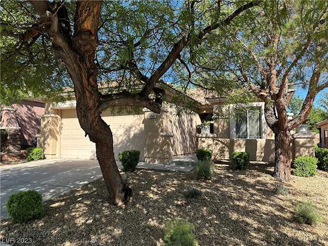 10982 Village Ridge Ln Las Vegas, NV 89135