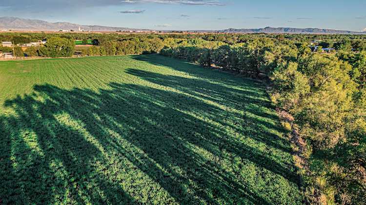 72 Crawford Rd Jarales, NM 87023