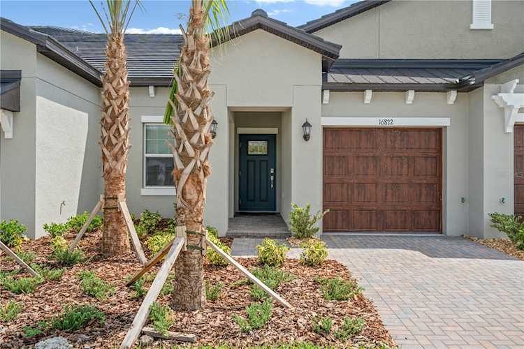 16822 Forge Surf St Land O Lakes, FL 34638