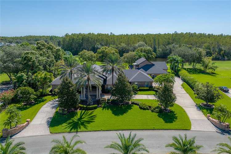 18707 Pepper PIKE Lutz, FL 33558