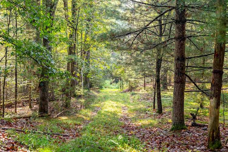 00 Pine Grove Road Kerhonkson, NY 12446