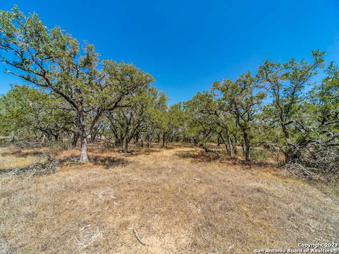 680 Annabelle Ave Bulverde, TX 78163