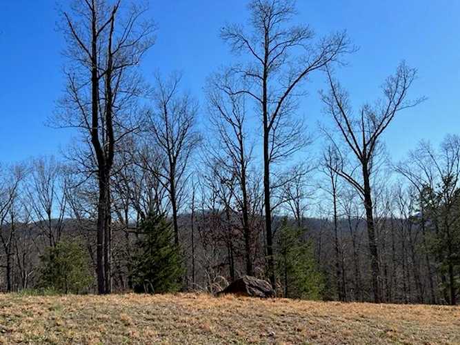 Lot 27 Commonwealth Hardy, VA 24101
