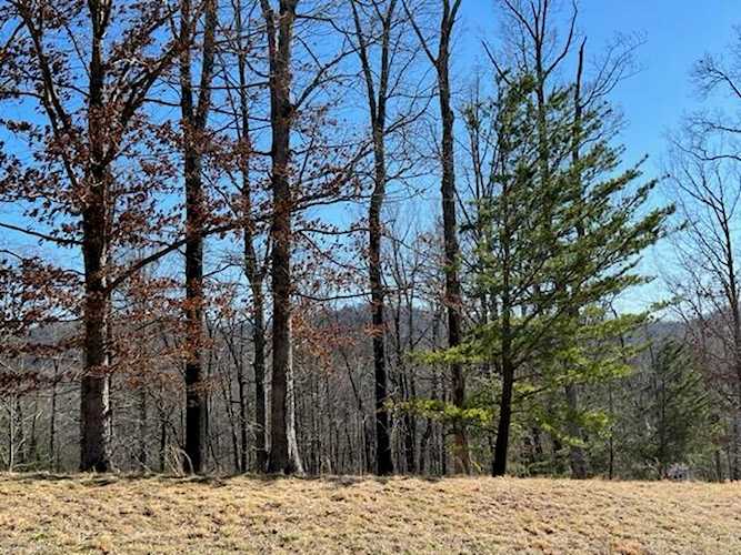 Lot 28 Commonwealth Hardy, VA 24101