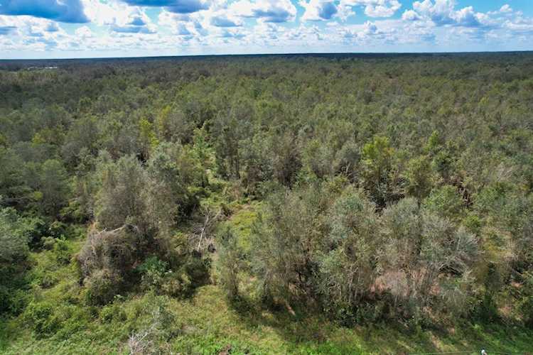 SE Kachina Ave Lee, FL 32059