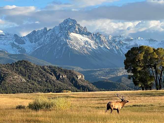 TBD County Road 24 #3 Ridgway, COLORADO 81432