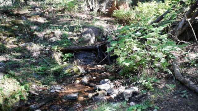 TBD Lot 35 S Boulder Rd Cardwell, MT 59721