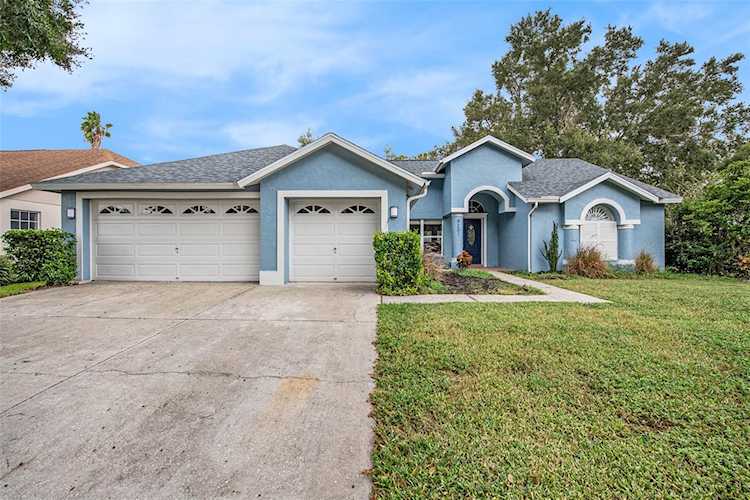 9201 Sunflower Dr Tampa, FL 33647