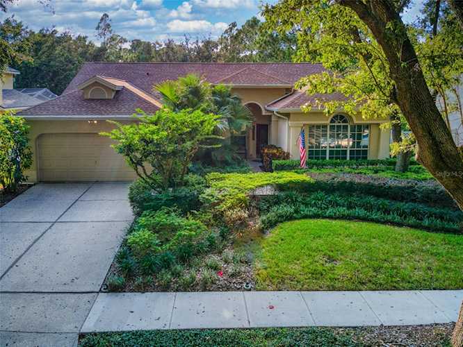 8711 Ashworth Dr Tampa, FL 33647