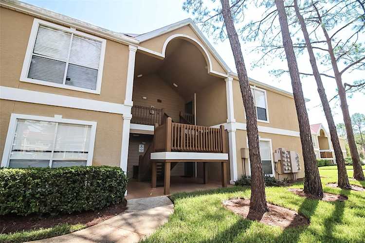 9481 Highland Oak Dr #716 Tampa, FL 33647
