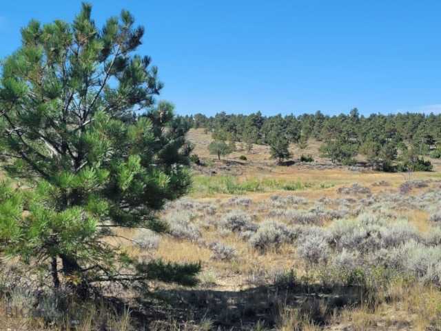 CR-42 Stonehouse Rd Shepherd, MT 59079