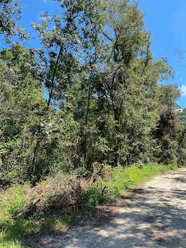 Vacant NE Withlacoochee Shores Ln Lee, FL 32059