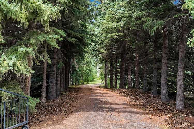 48174 338 Ave E Rural Foothills County, AB T1S 1A2