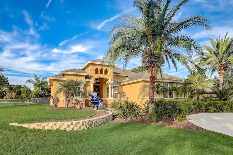 12529 Twin Branch Acres Rd Tampa, FL 33626
