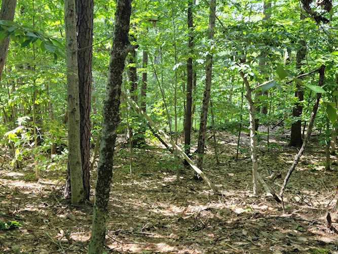 15 Circuit Rd Ossipee, NH 03864