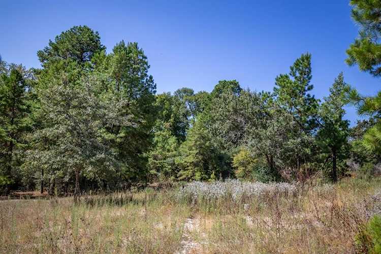 TBD Pr 1425 Centerville, TX 75833
