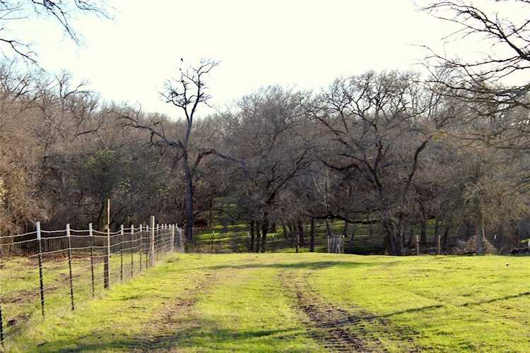 15601 Decker Lake Rd. Manor, TX 78653