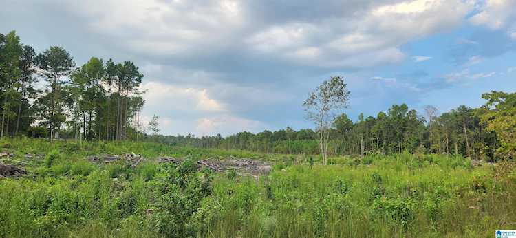 0 Roy Webb Cutoff Road #0 Piedmont, AL 36272