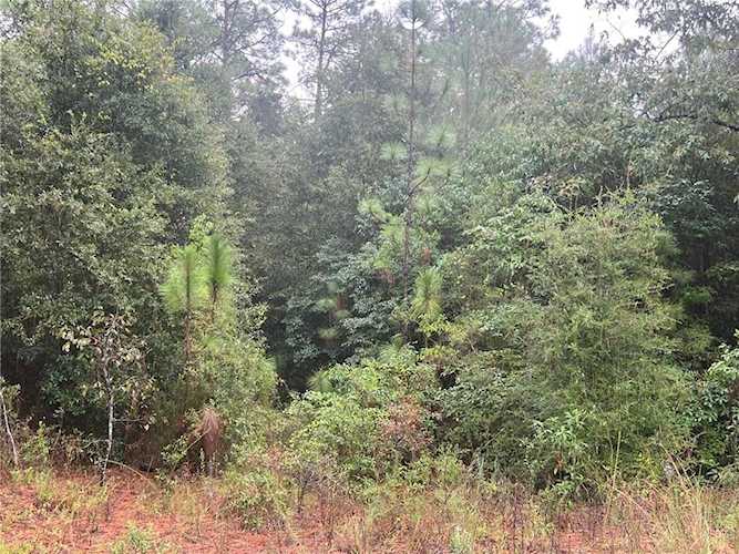 7574 Kali Oka Road Saraland, AL 36571 | MLS 7274811 Photo 1