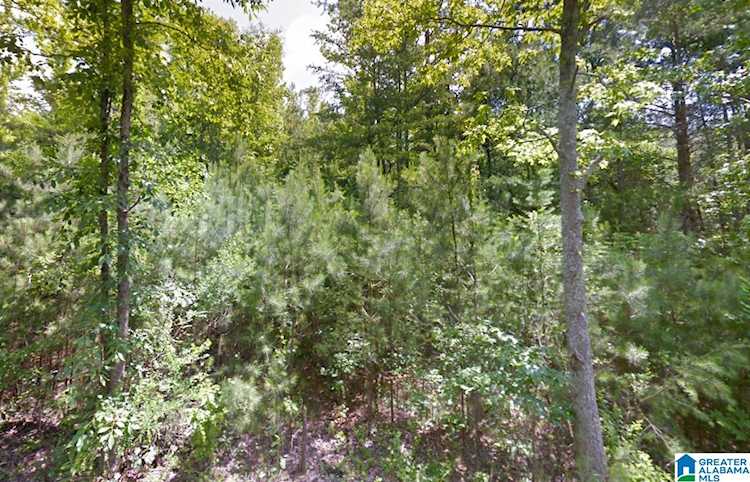 0 Fox Run #- Oneonta, AL 35121