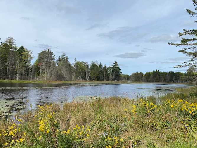 00 Route 1 Gouldsboro, ME 04607