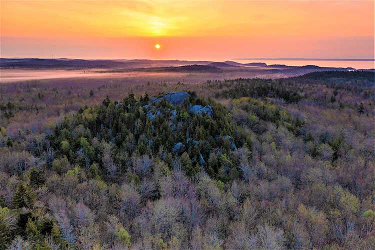 00 Dixie Road Rd Trescott Twp, ME 04652