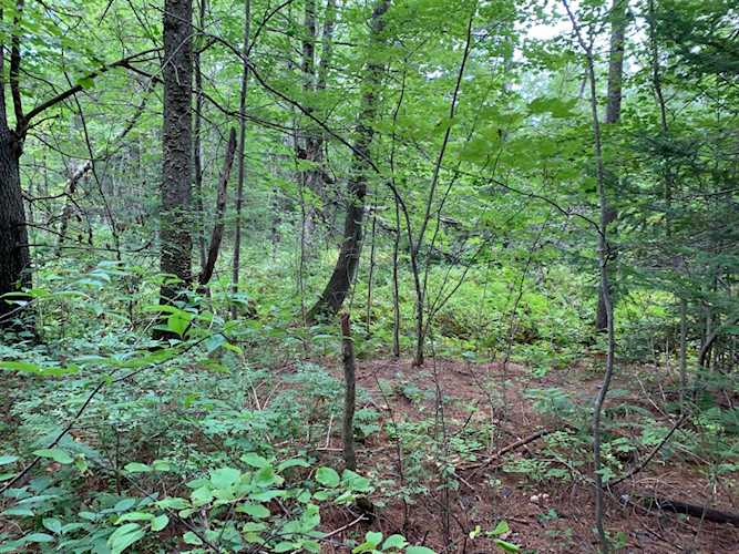 Lot 7 County Rd Livermore Falls, ME 04254