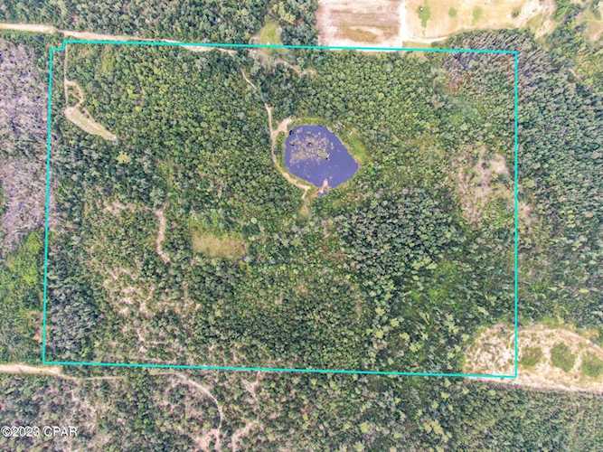 810 Blue Jay Ave Marianna FL 32448 746746 Alford lot for sale Experience true privacy on approximately 25 acres of beautiful timberland with... Photo 1