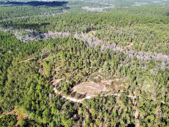 0 Whitehouse Fork Road Bay Minette, AL 36507